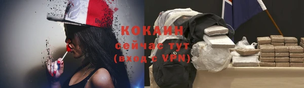 спайс Арсеньев