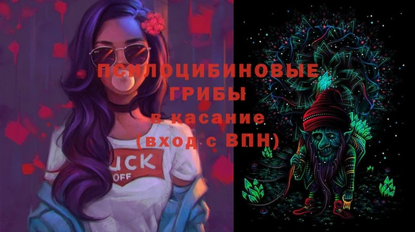 спайс Арсеньев