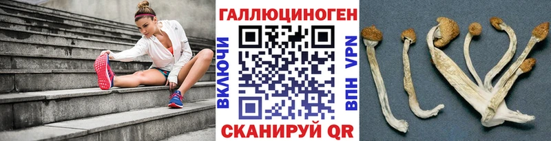 Галлюциногенные грибы прущие грибы  Купить  Гаврилов-Ям 